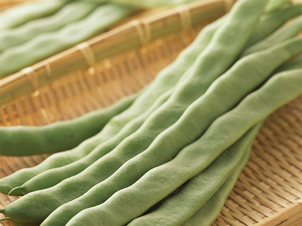 淺析蕓豆的選購技巧與食用價(jià)值